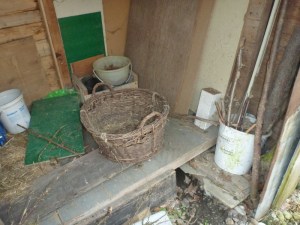 Photoprojekt März 2014 (12) (800x600)