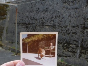 Photoprojekt März 2014 (34) (800x600)