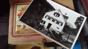 Photoprojekt März 2014 (48) (800x450)