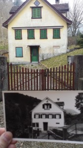 Photoprojekt März 2014 (50) (450x800)