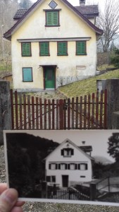 Photoprojekt März 2014 (50) (450x800)