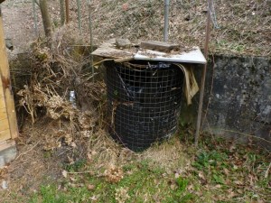 Photoprojekt März 2014 (8) (800x600)