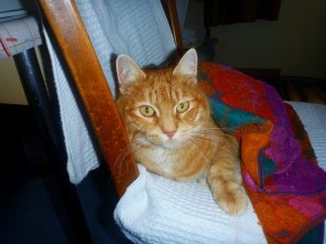 Lichtensteig 2012 (4)