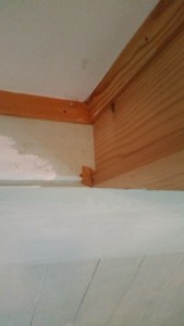 Stand 16. Januar 2015 087